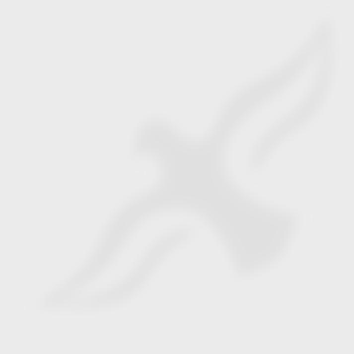 Friends Of Thornden School | Charici