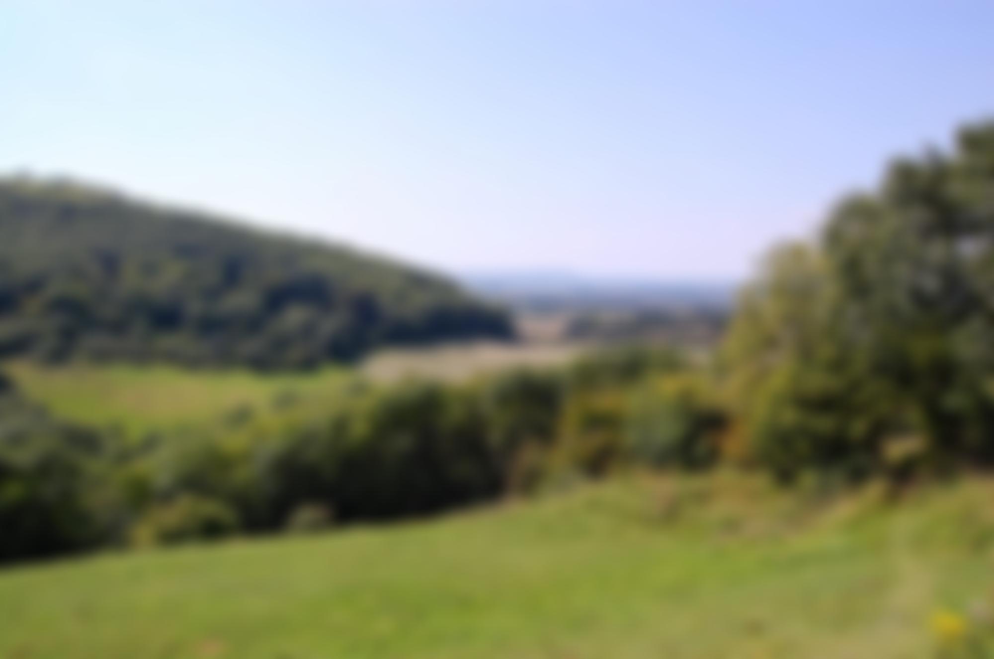 Sussex Rural Community Council | Charici