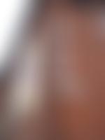 Werneth And Freehold Community Development Project | Charici