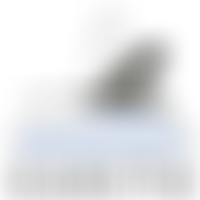 Friends Of Earith School | Charici