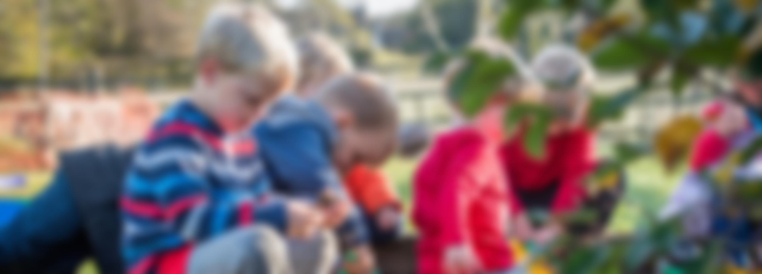 Helmdon Acorns Pre-School | Charici