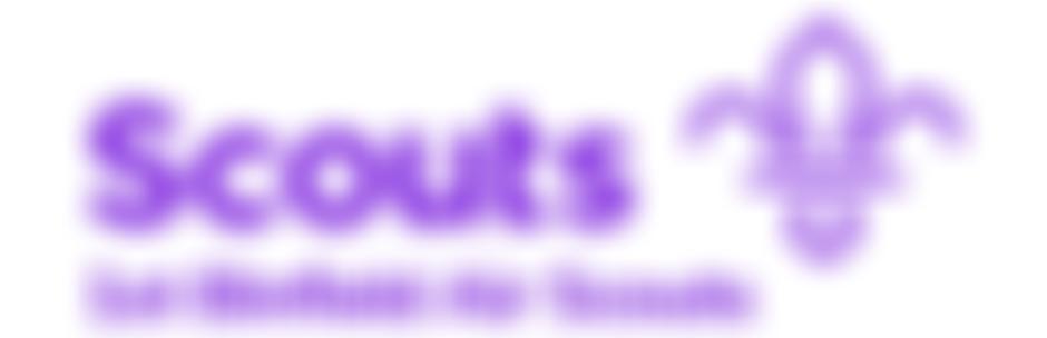 First Binfield Scout Group | Charici