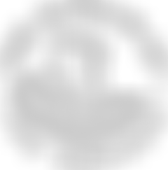 The Museum Of The Broads | Charici