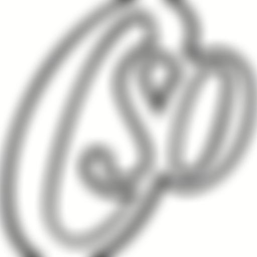 Chichester Symphony Orchestra | Charici