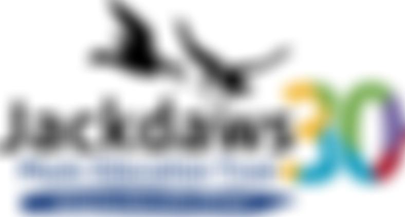 Jackdaws Educational Trust | Charici