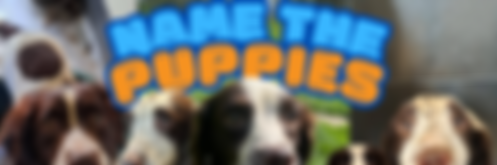 Royal Society For The Prevention Of Cruelty To Animals York, Harrogate And District Branch | Charici