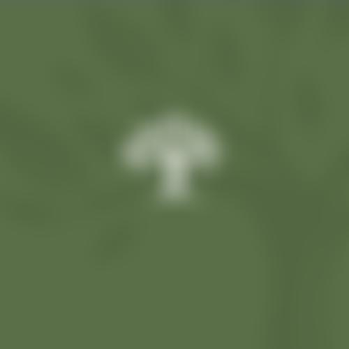 St Paul's Waldorf School Building | Charici