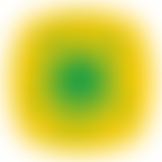 Friends Of Springwood Heath | Charici