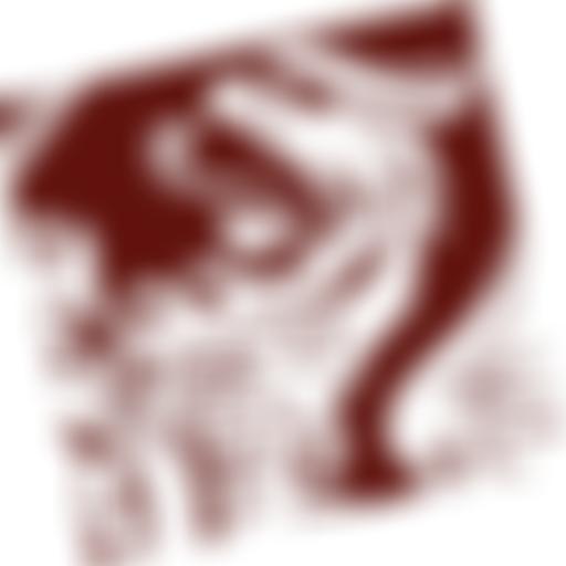 Romanoff Foundation | Charici