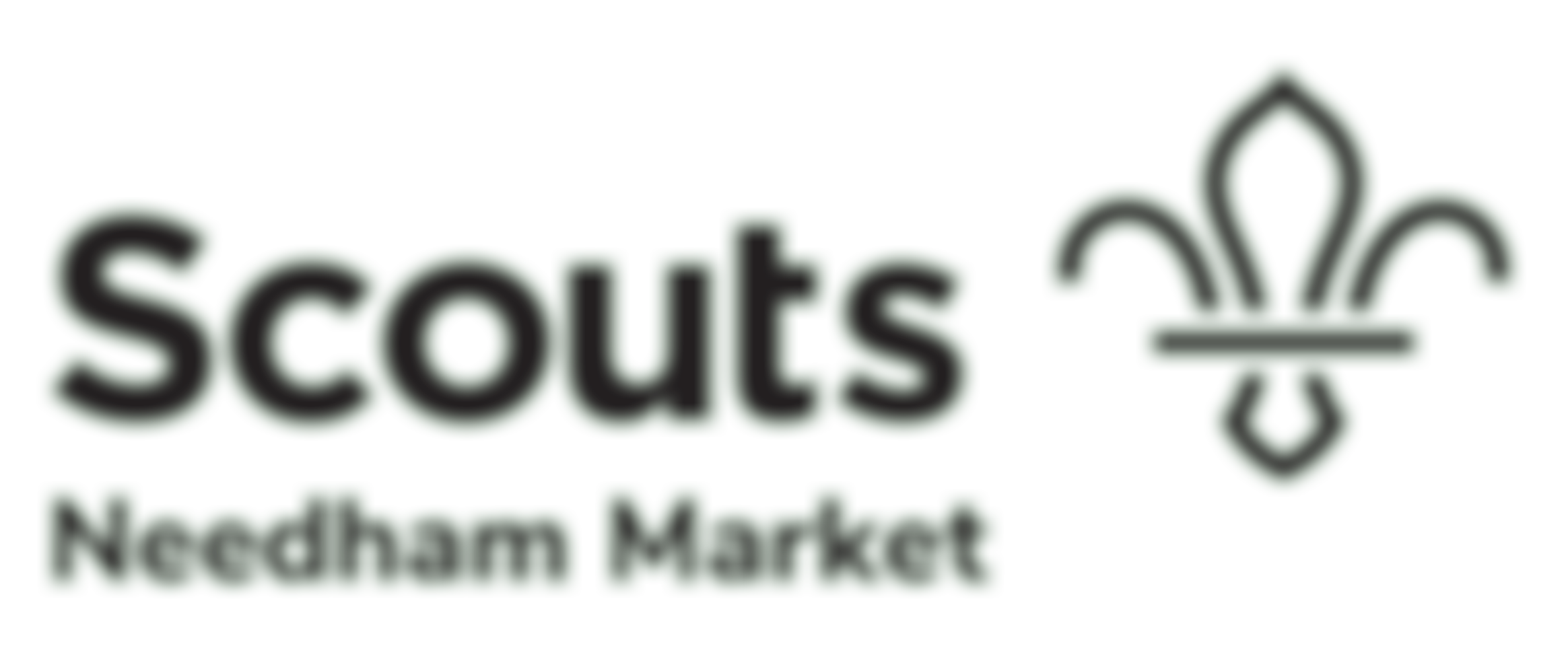 First Needham Market Scout Group | Charici