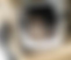 Royal Society For The Prevention Of Cruelty To Animals - Bolton And District Branch | Charici