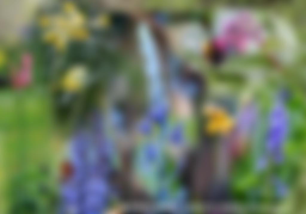 Camelot Area U3A | Charici