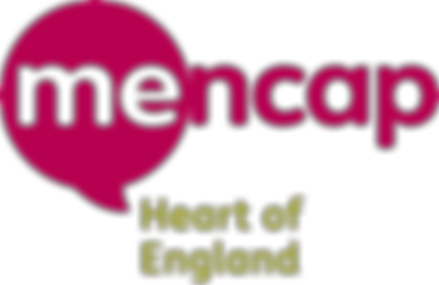 Heart Of England Mencap | Charici
