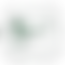 St Albans And District Footpaths Society | Charici