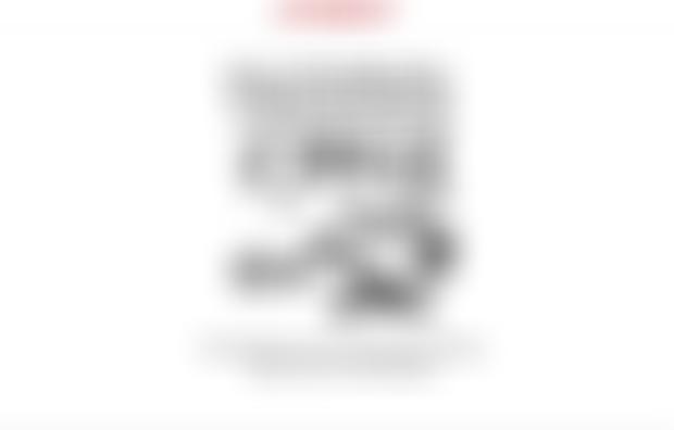 South Yorkshire Badger Group | Charici