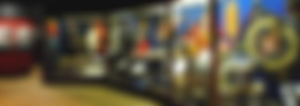 The Royal Anglian Regiment Museum | Charici