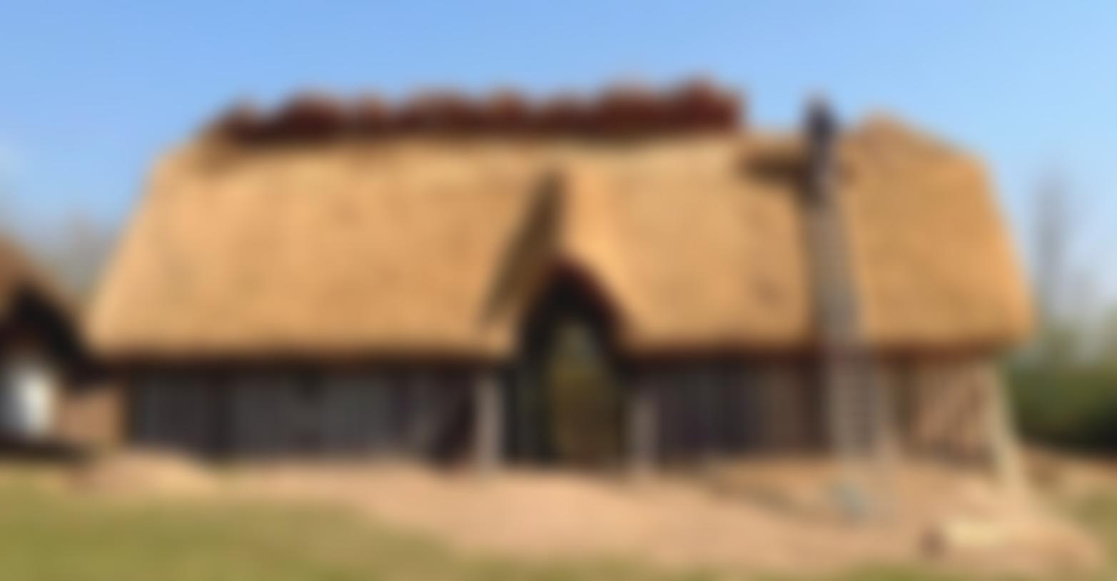 The Friends Of Butser Ancient Farm | Charici