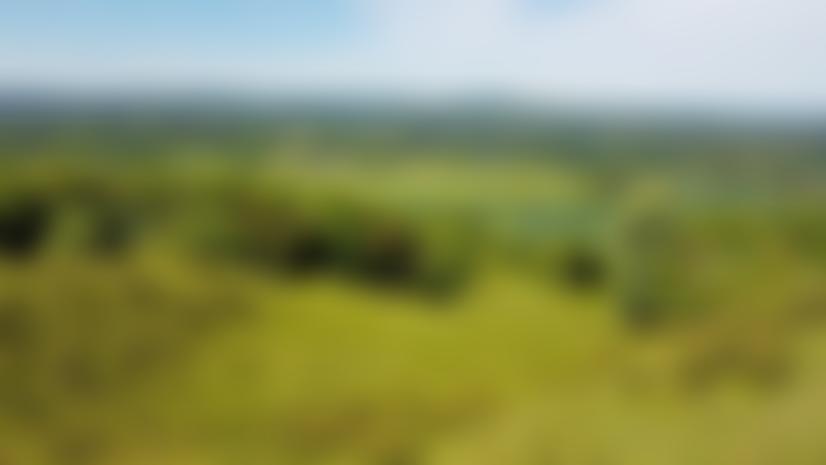 The Murray Downland Trust | Charici