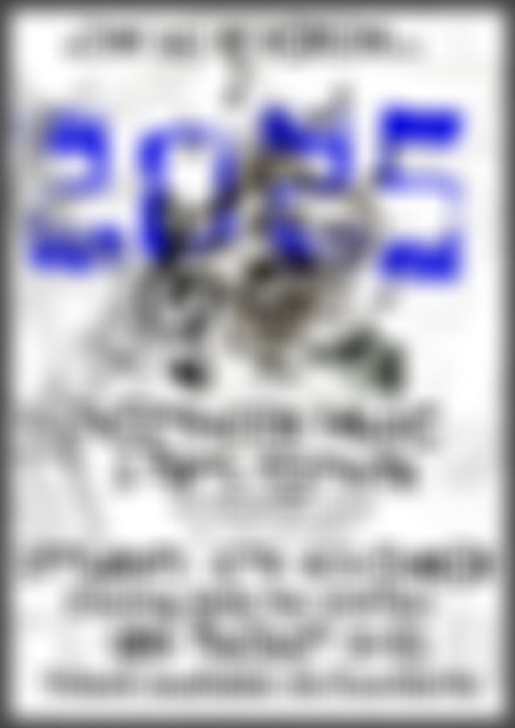 Fleetwood Music And Arts Festival | Charici