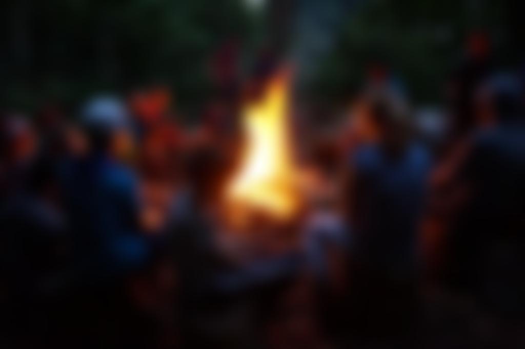 1St Llanelli Scout Group | Charici