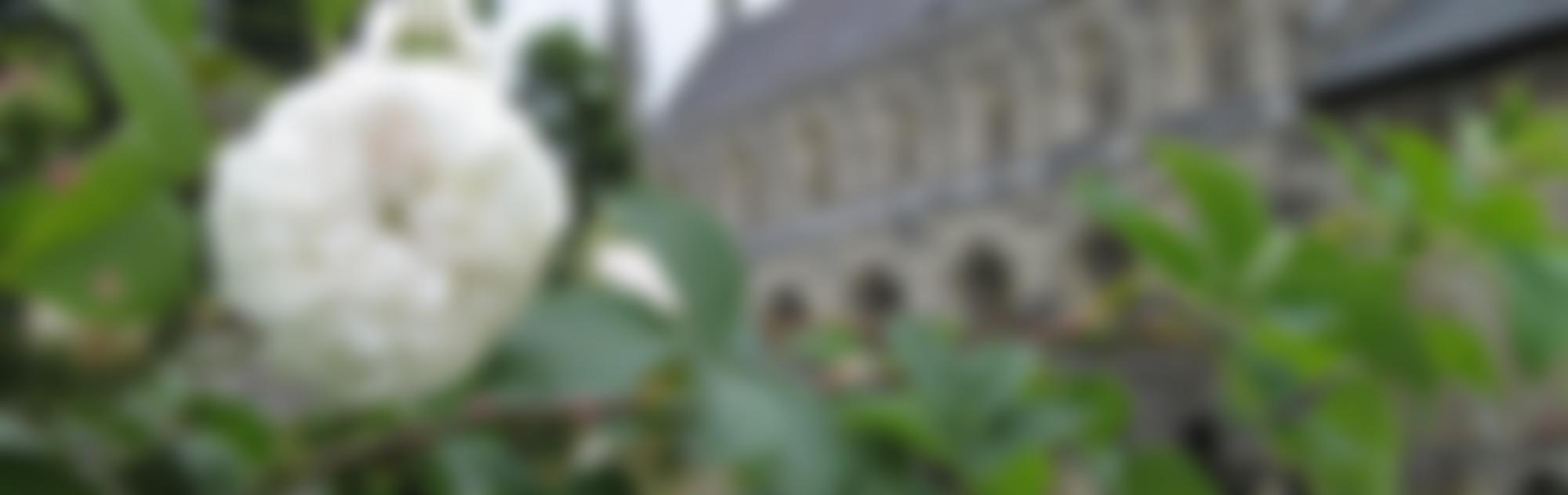 Friends Of The Dean Garnier Garden | Charici