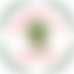 Bartley School Parent Teacher Association | Charici