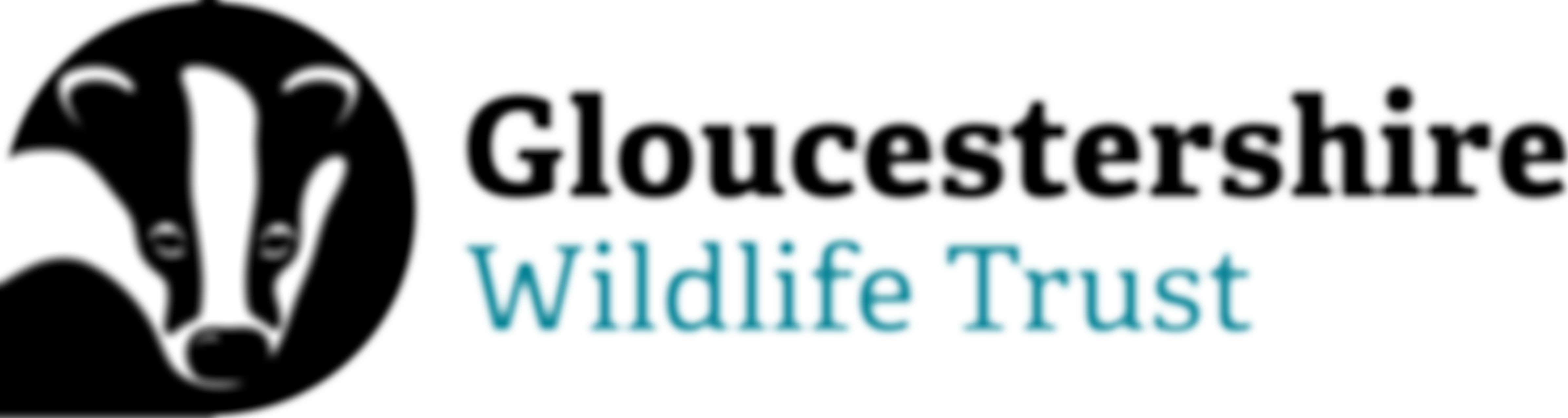 Gloucestershire Wildlife Trust | Charici