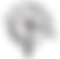 The Heritage Group Bellingham | Charici