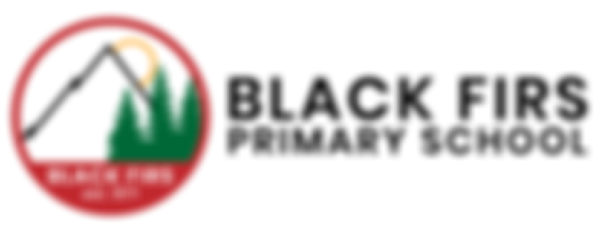 Black Firs C P School Parent Teacher Association | Charici