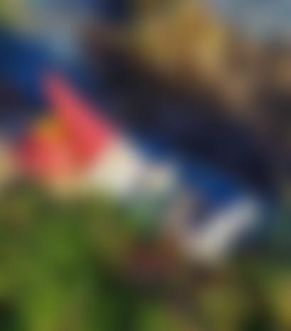 Stafford Freemens Allotments Trust | Charici