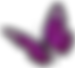 Woodside Bereavement Service | Charici