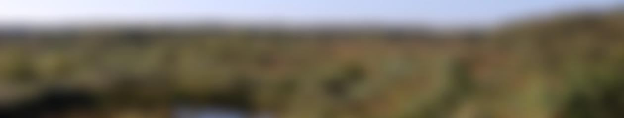 Risley Moss Action Group | Charici