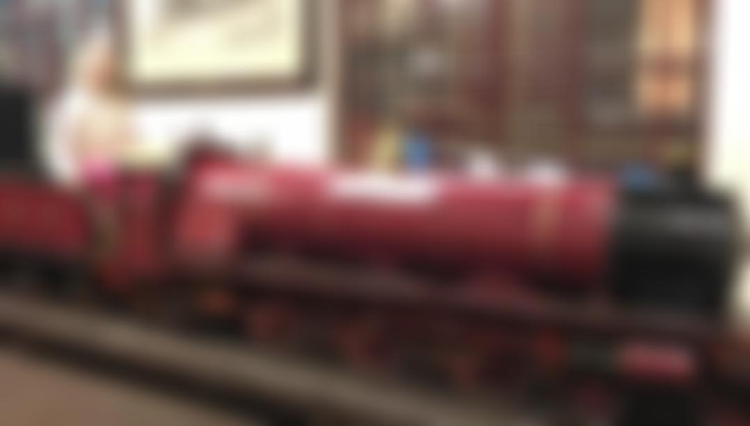 The Princess Royal Class Locomotive Trust | Charici