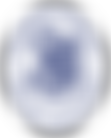 The British Veterinary Poultry Association Trust Fund | Charici