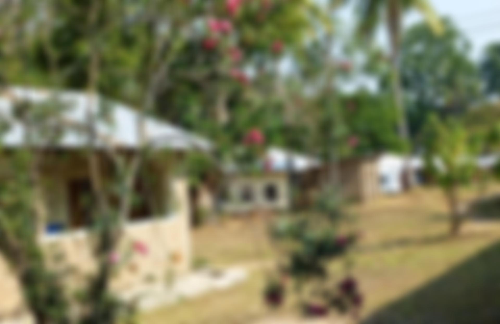 The Friends Of St Anne's Hospital Liuli | Charici