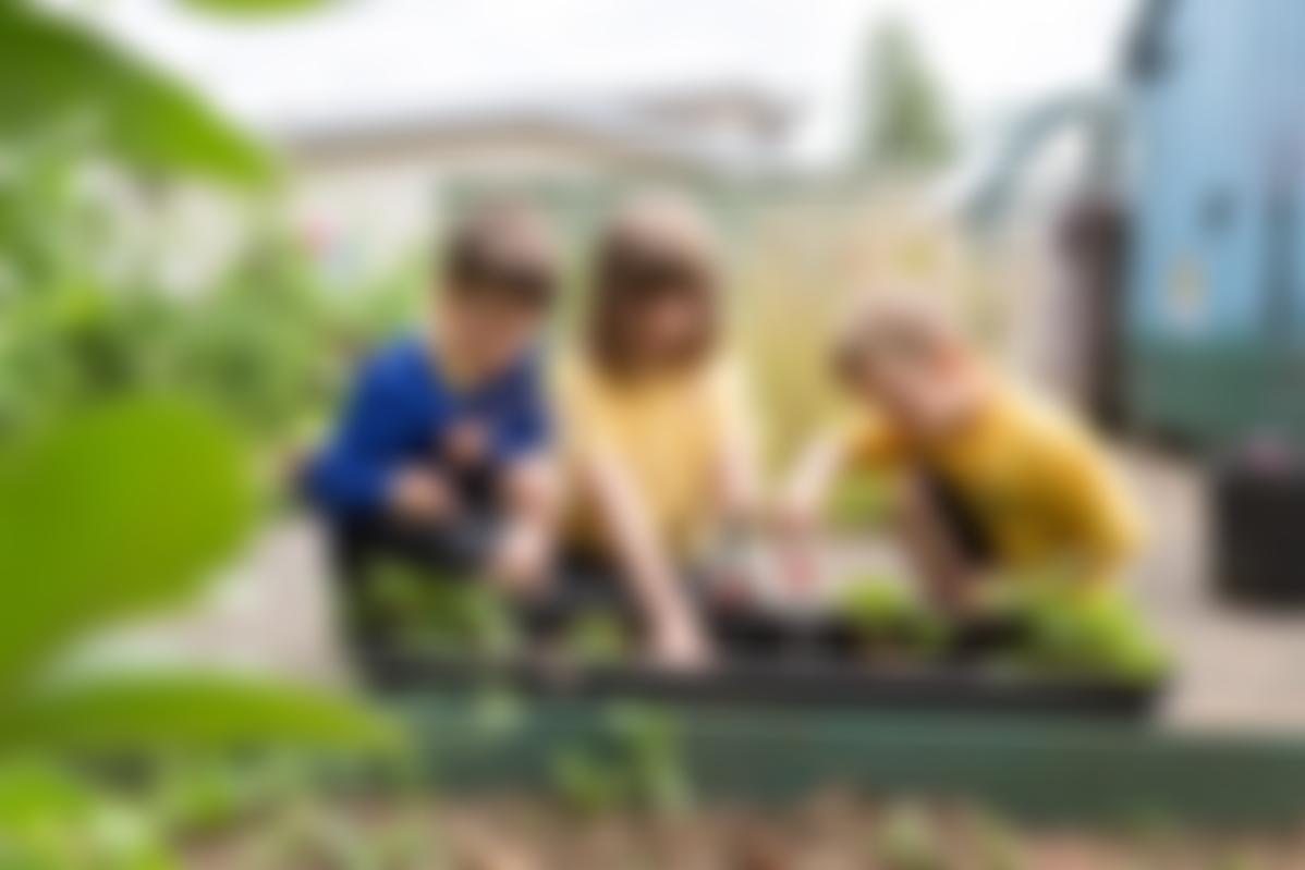 Courtney Primary School Parent Teacher Association | Charici