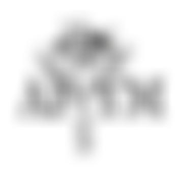 Abertawe Festival For Young Musicians | Charici