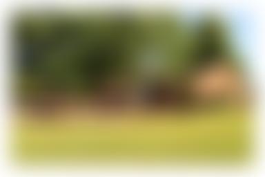 Watford Village Hall | Charici