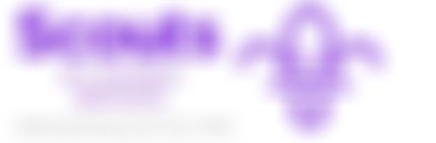 3Rd Carshalton (Methodist) Scout Group | Charici