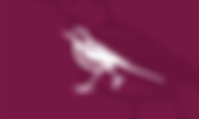 Brookfield Parent And Friends Association | Charici