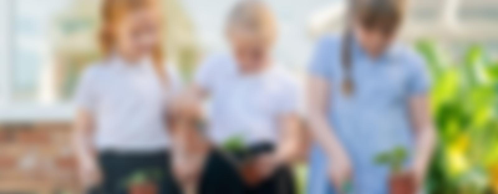 Kirton Primary - Friends Of The School | Charici