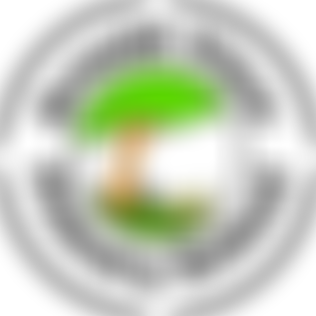 Kingswell Junior School Fund | Charici