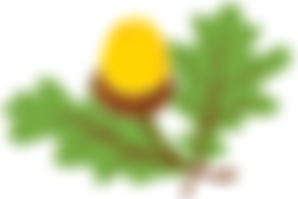 The Ryde School Parent Teacher Association | Charici