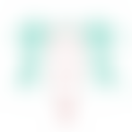 Cymdeithas Cyfeillion Ysgol Y Bont Llangefni | Charici