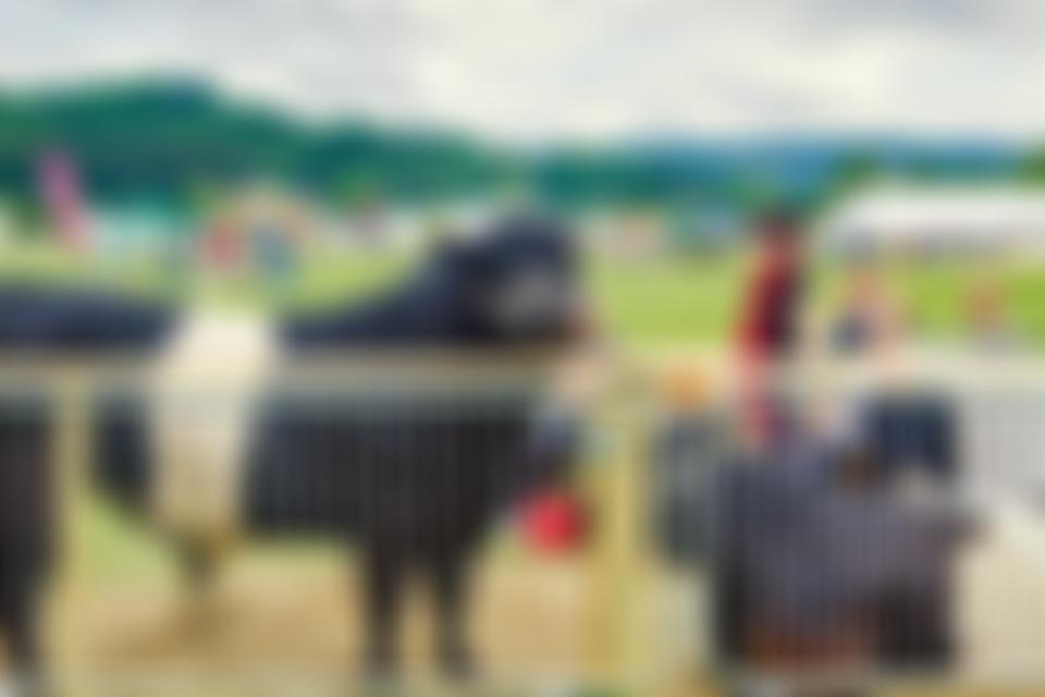 Bakewell Agricultural And Horticultural Society | Charici