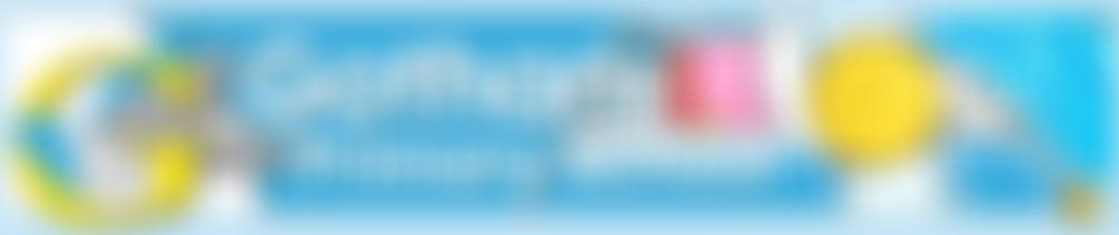 Gotham Primary School Fund | Charici