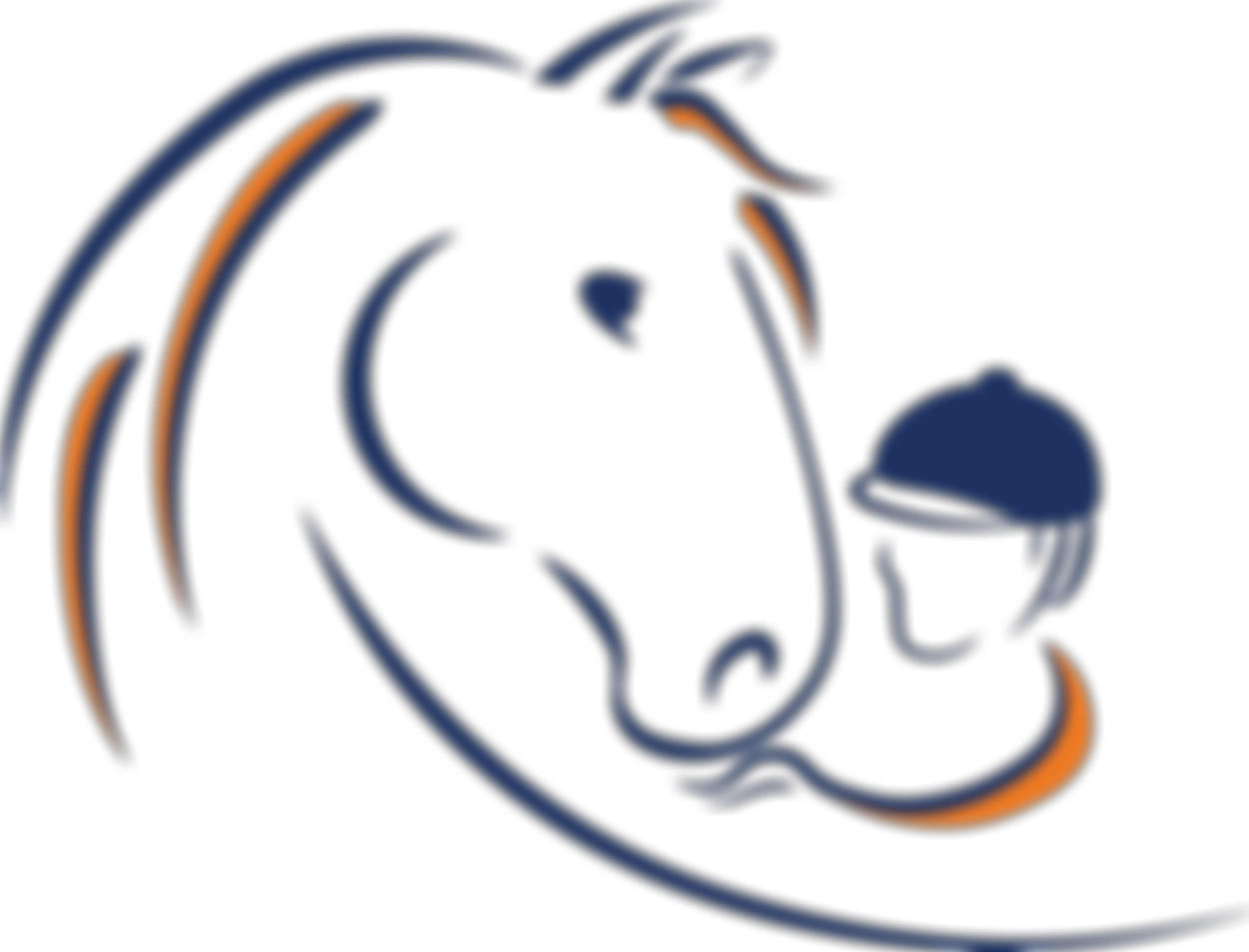 The Fortune Centre Of Riding Therapy | Charici