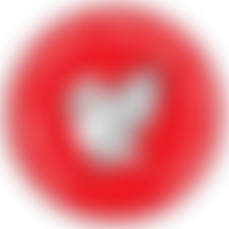 St Hugh's Catholic Primary School (Timperley) Parent Teacher Association | Charici