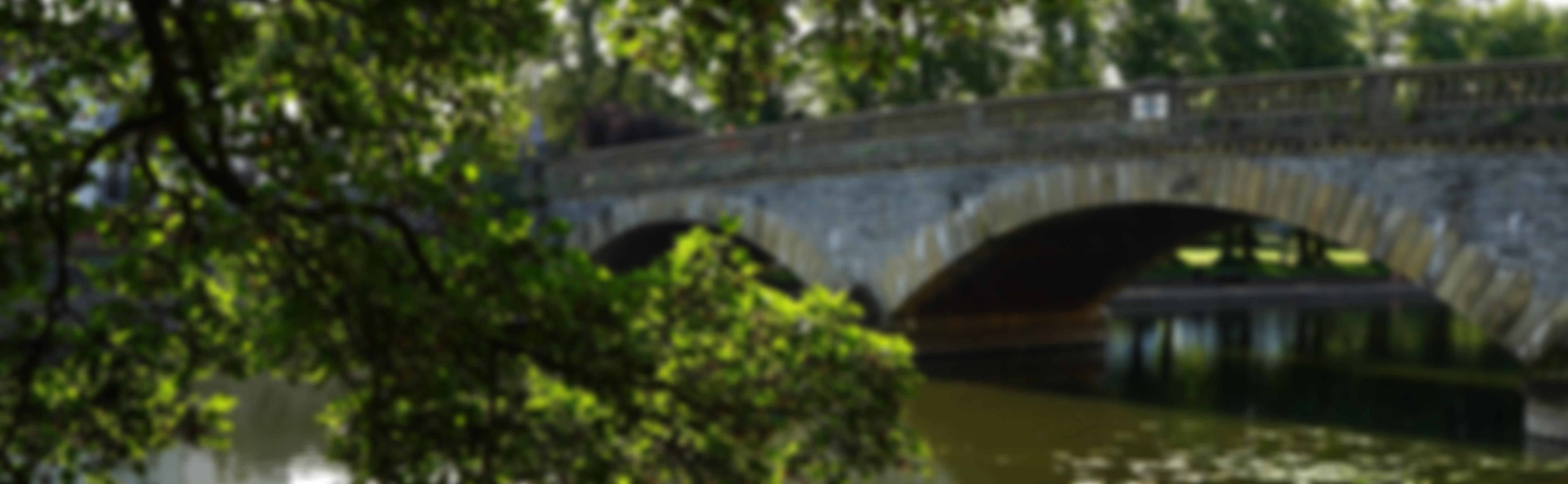 The Lower Avon Navigation Trust Limited | Charici