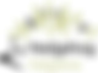 Hedgehog Helpline | Charici